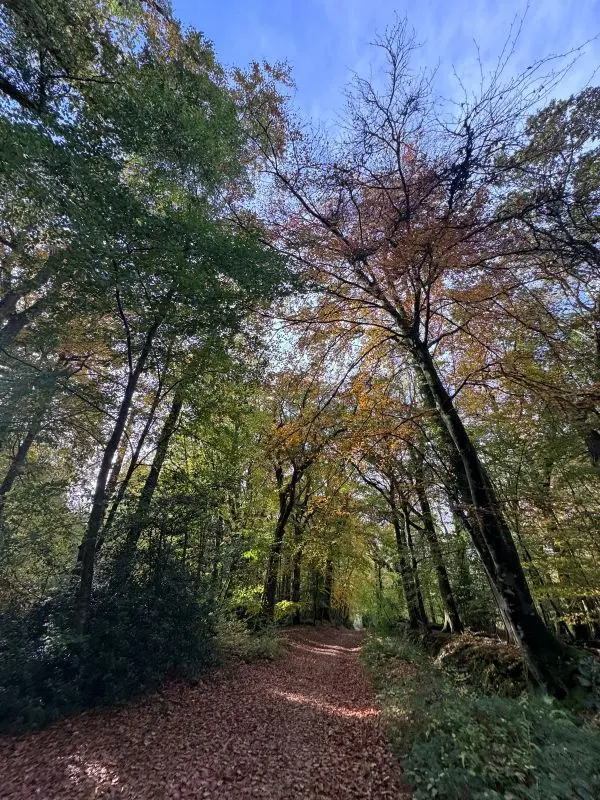 chris-whatley-pdgzSgRHdjw-unsplash©Chris Whatley sur unsplash