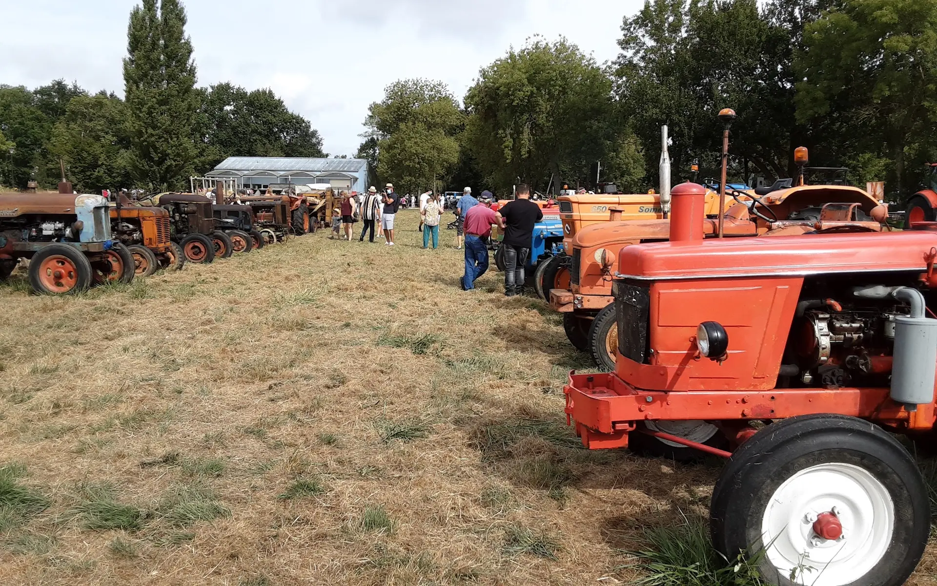 comice agricole