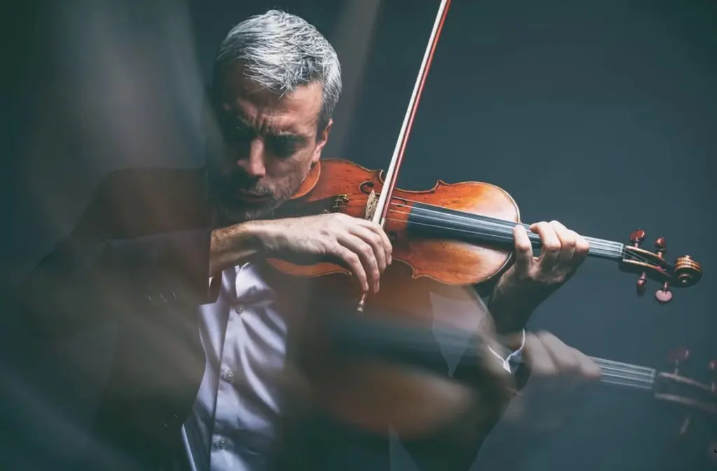 concert arcade musique sebastien surel