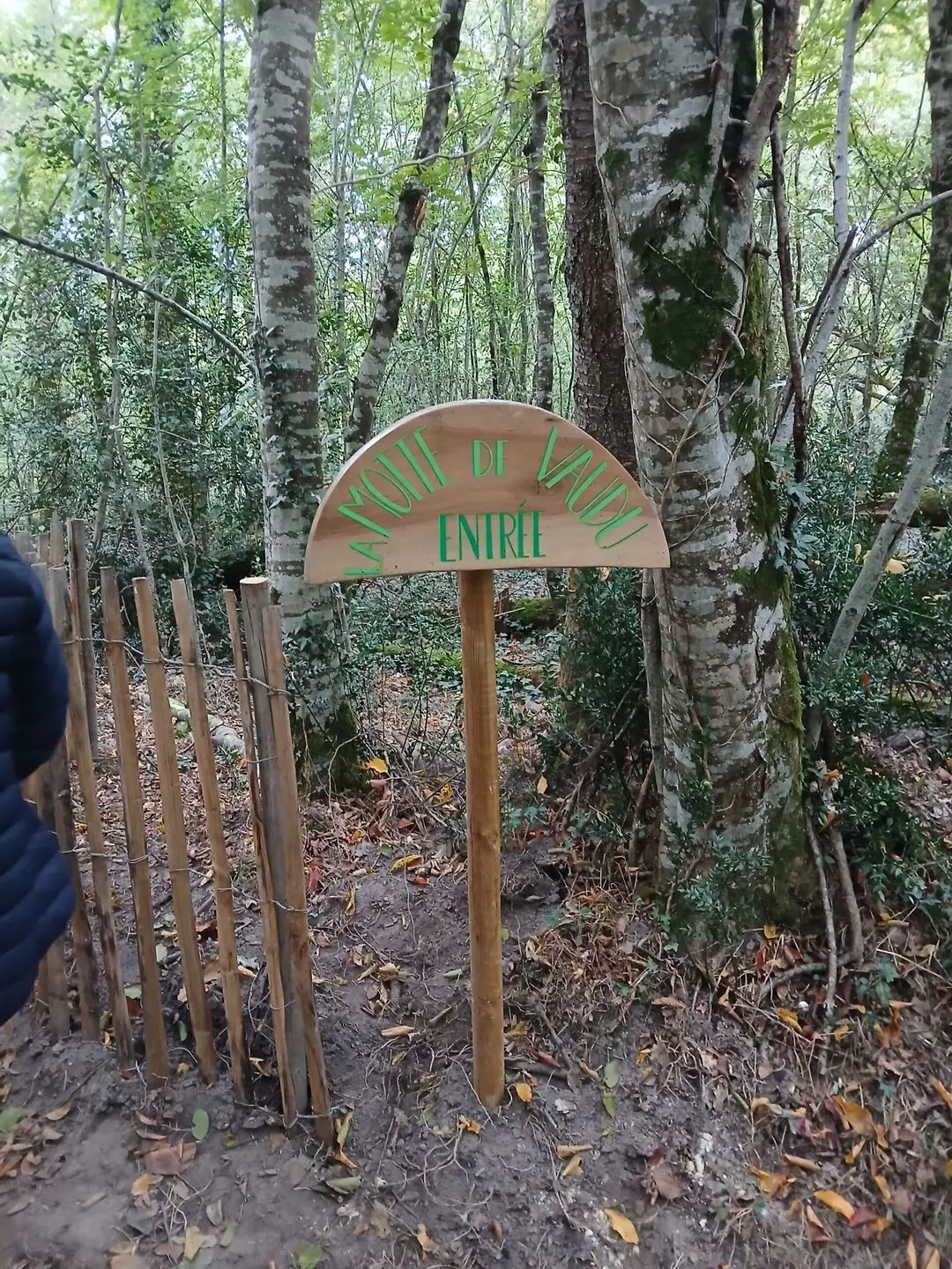 entrée motte de Vaudu