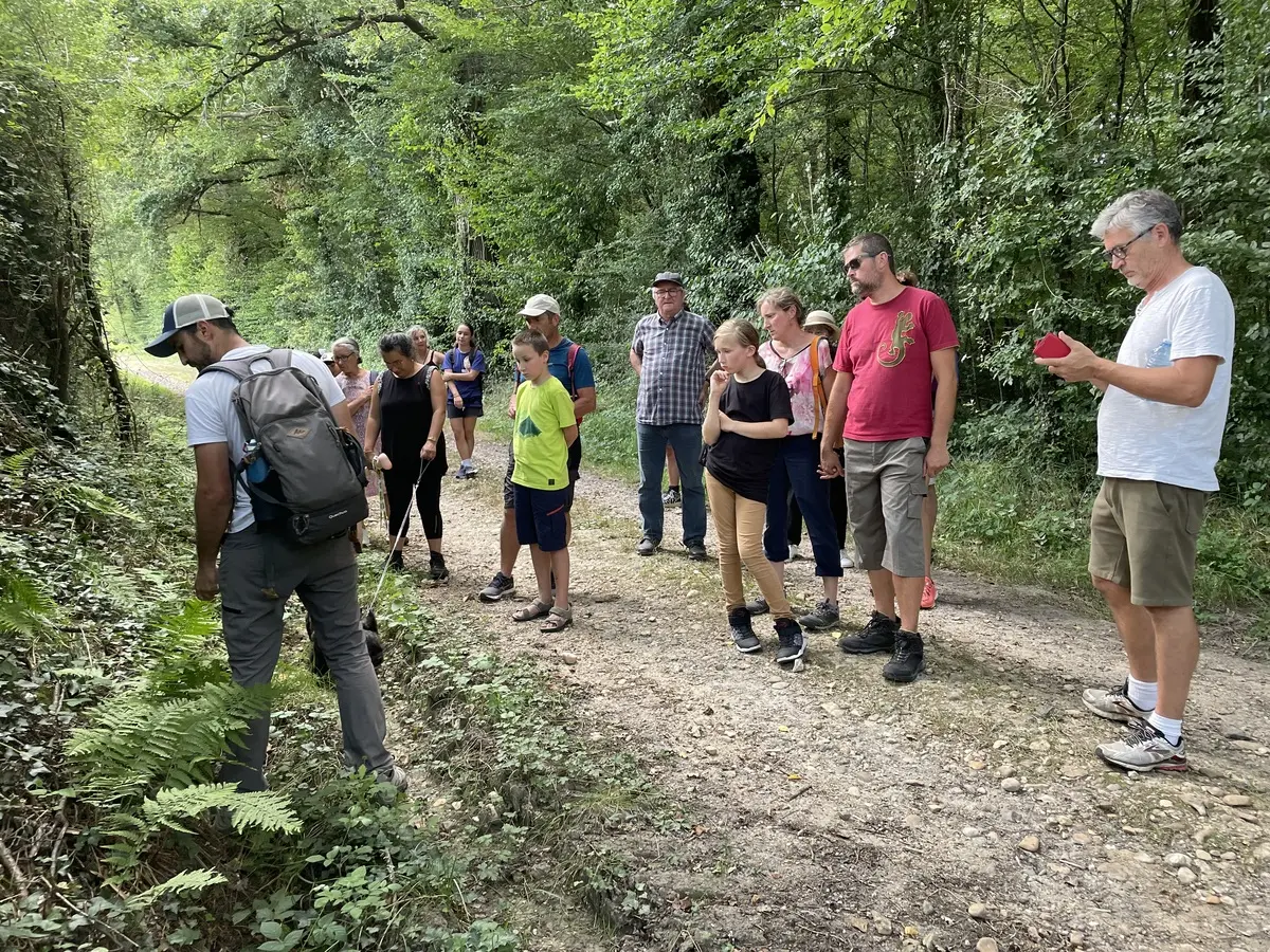 été actif rando saint sauveur