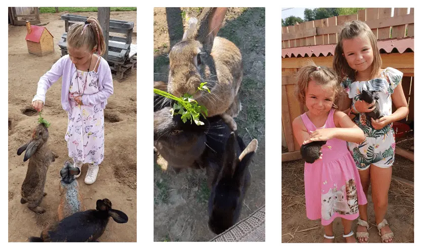 ferme_d_ellia_ensemble_03