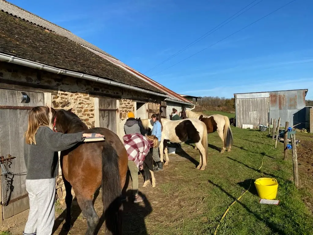 ferme équilibre