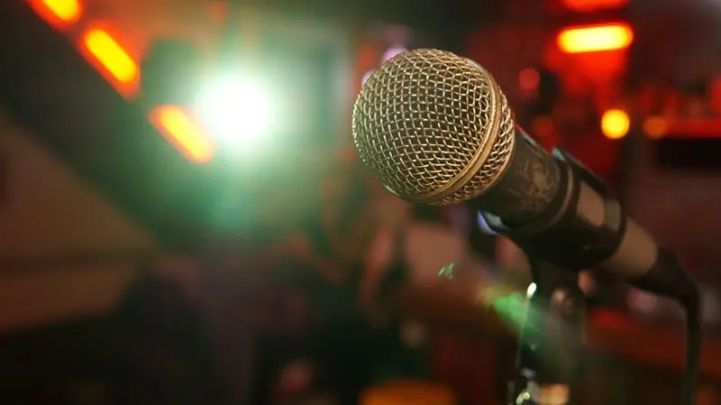 fun4all-mic