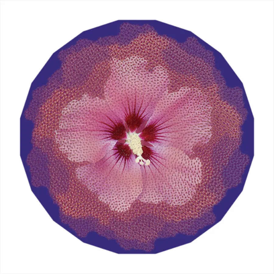 hibis-Antoine Desjardin