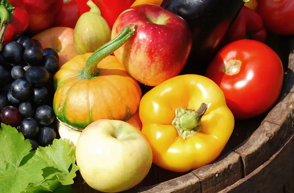 istockphoto-92420025-2048x2048-fotor-20260306164253