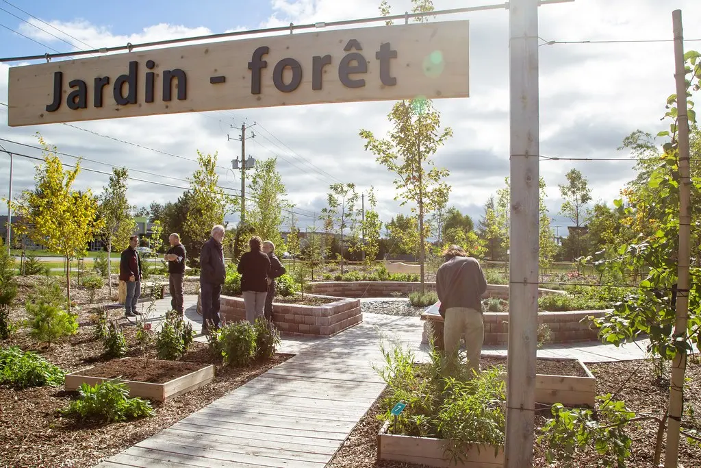 jardin-forêt