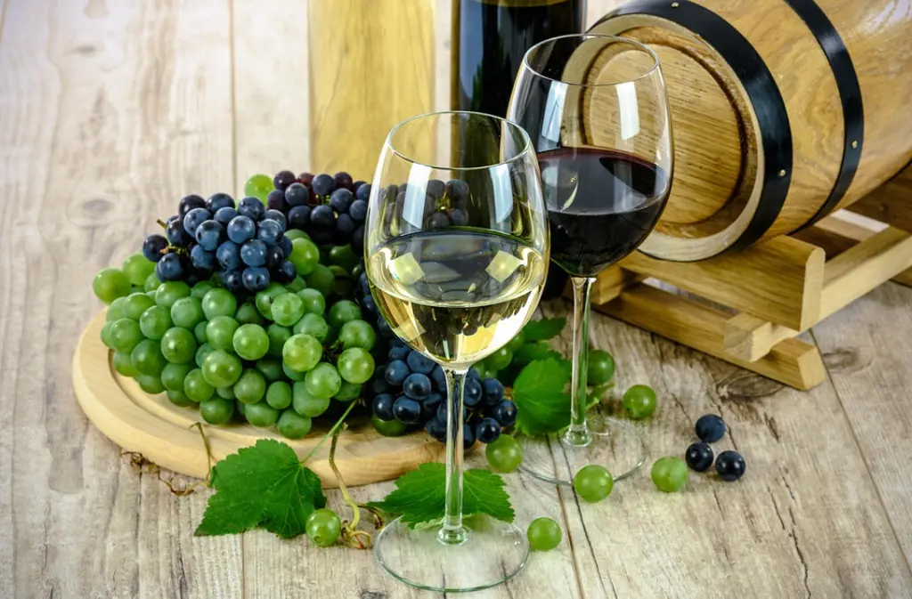 journée_au_vignoble_31_05_25