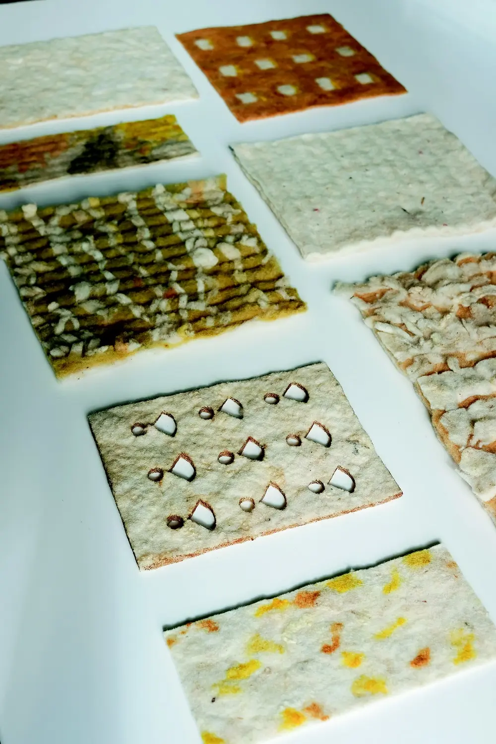 lou leygnac-DSCF2682-2