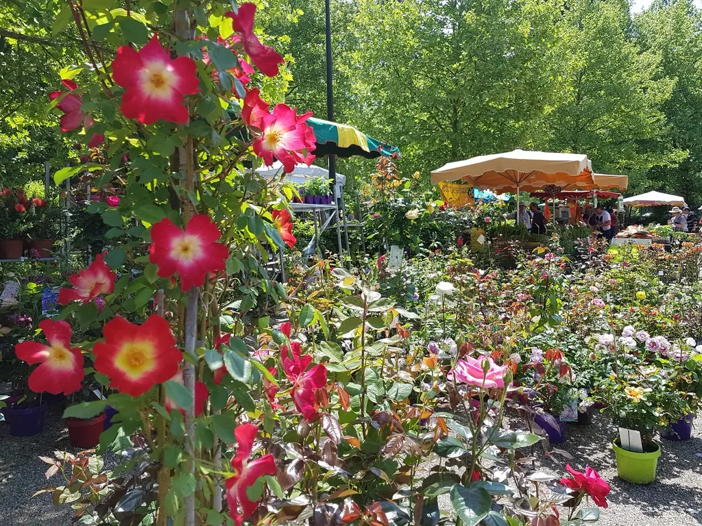 marché aux fleurs