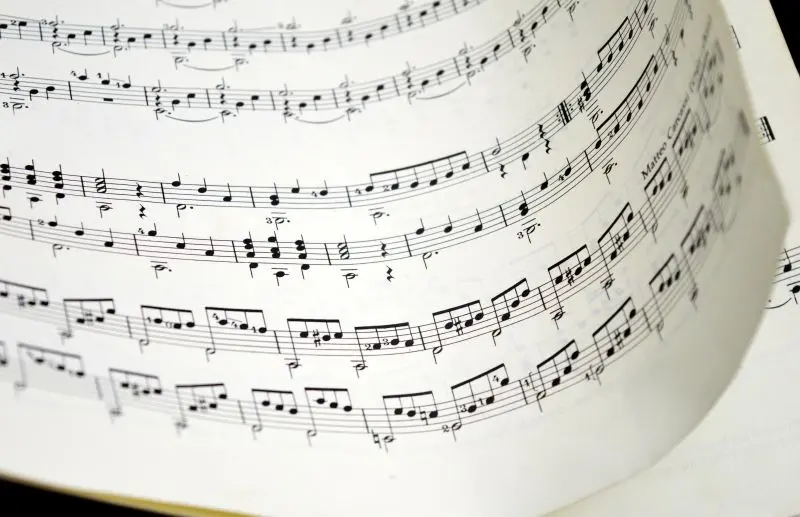 neelam279-sheet-music-10130620 (1)©Frauke Riether de Pixabay