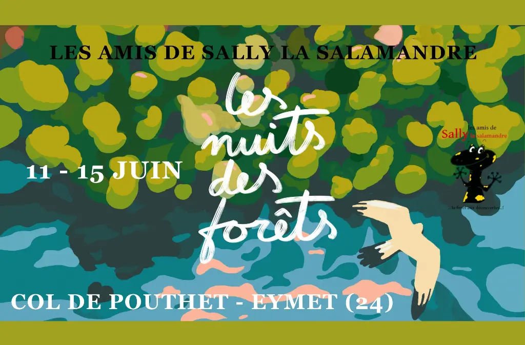 nuitdesforêts_11-15_05_25