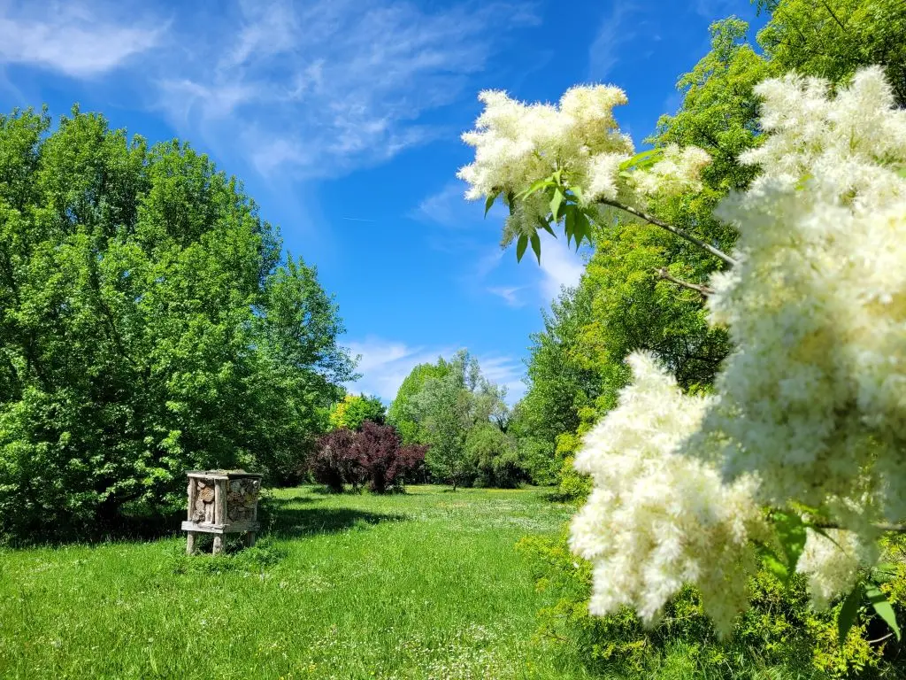 parc-botanique-neuvic