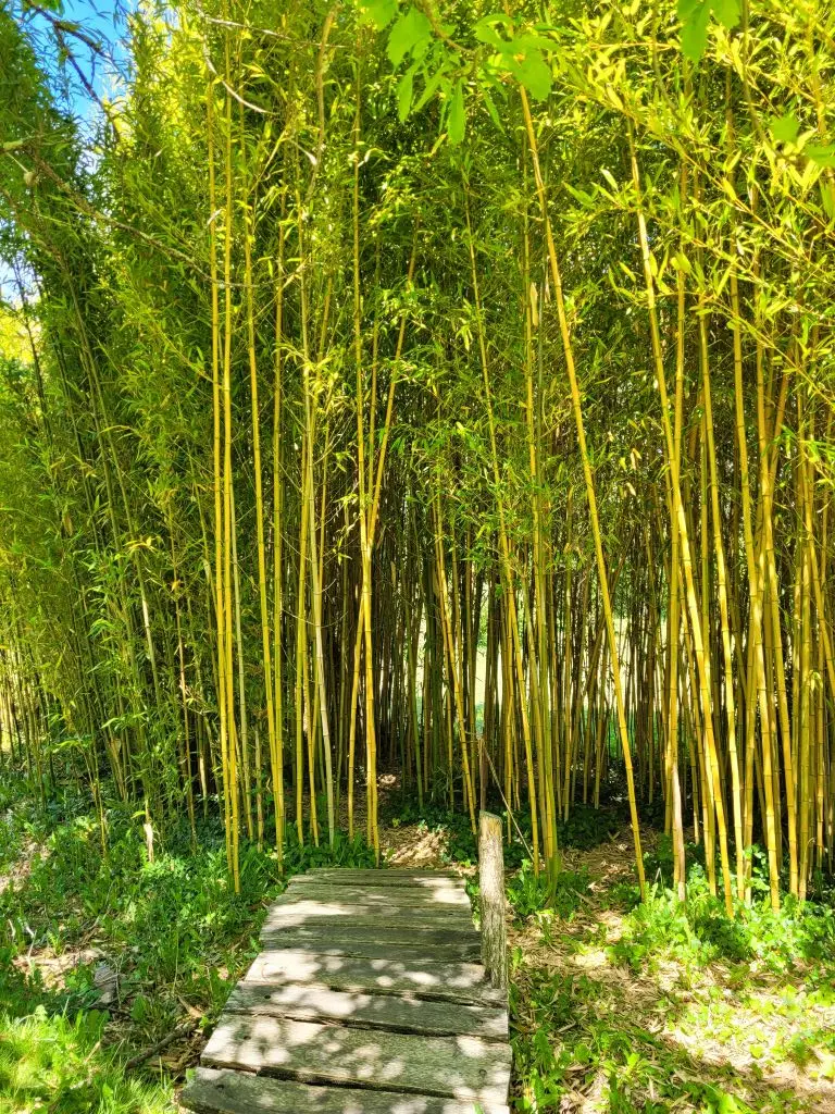 parc-botanique-neuvic