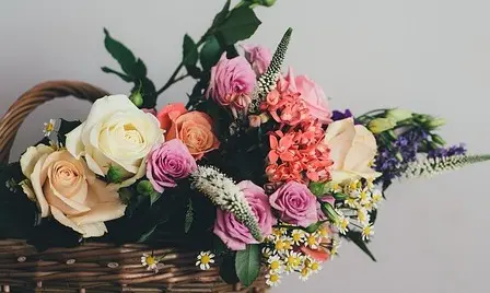 pexels-basket-1846135_640