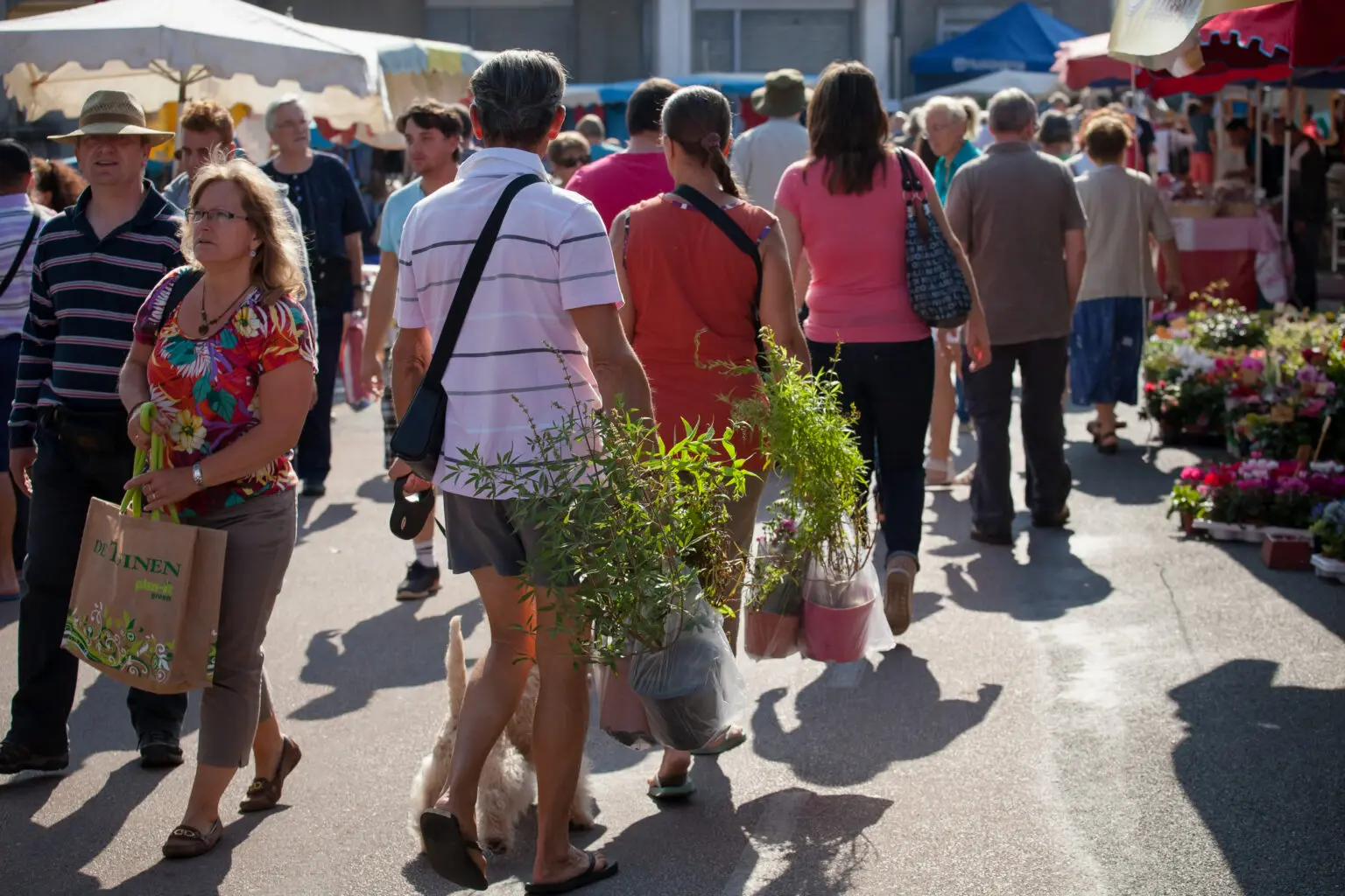 piegut-pluviers-marche@petite-sourisphotographie-1536x1024