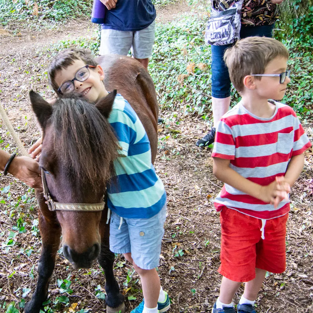 poney-Noalha (7)