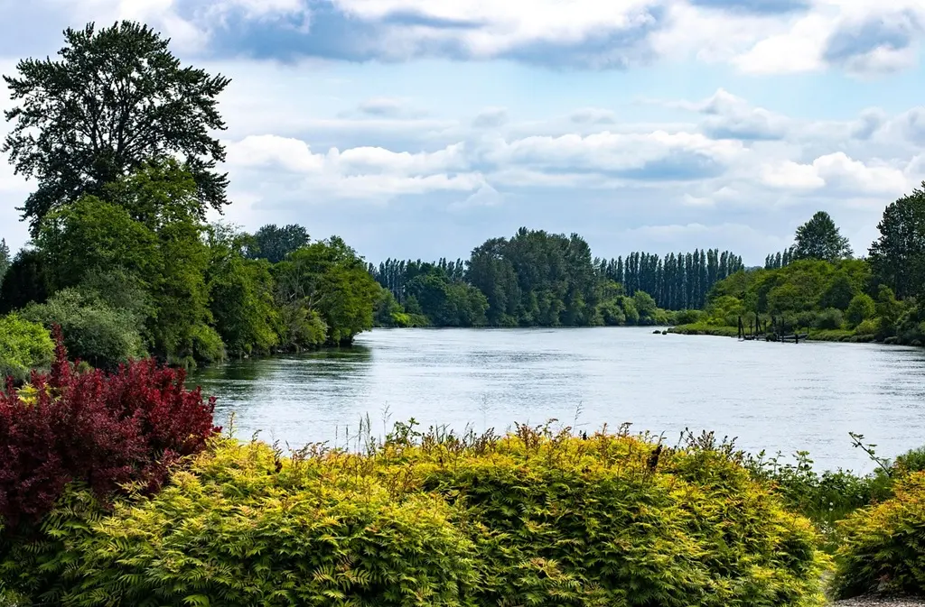 river-8018379_1280