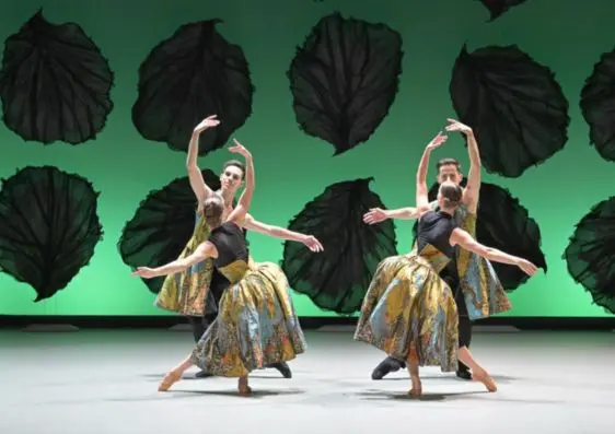 Show Page - 2nd image - saisons