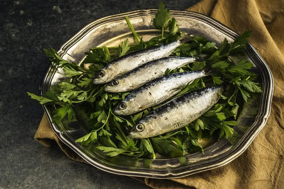 sardines-1468422_960_720