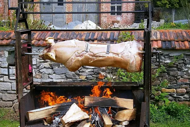 suckling-pig-208102_640