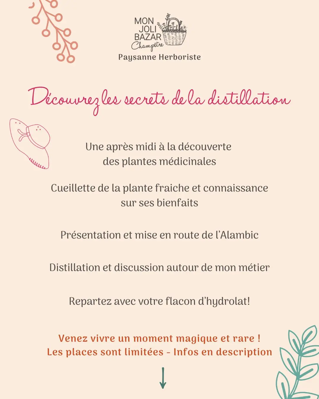 Atelier alambic 03 Bézu 08 25