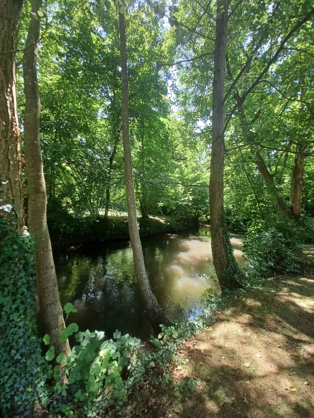 Cours d'eau parc environnemental Frédéric Passy © Virginie BOUFFAY