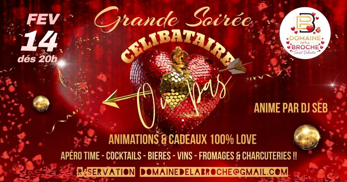Grande soirée célibataire Domaine de la Broche 14 02 26