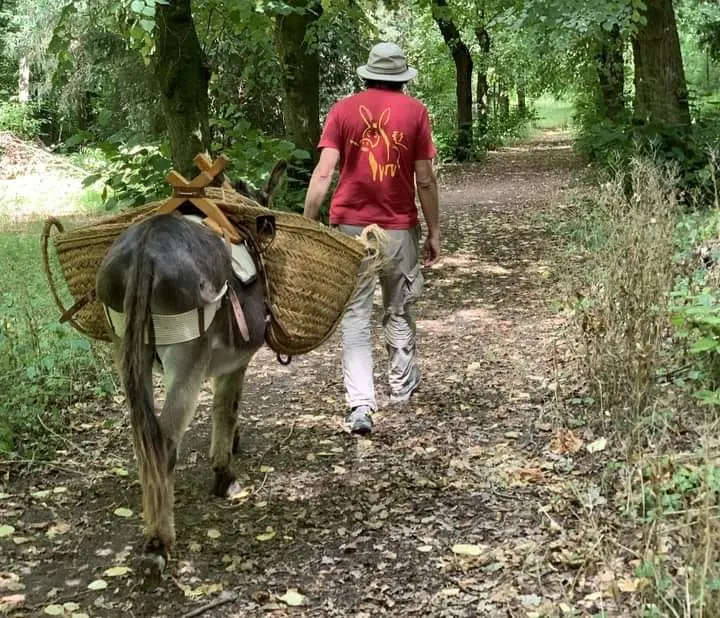 L'âne à Gilles Balade contée avec un âne ©Gilles Lemaire