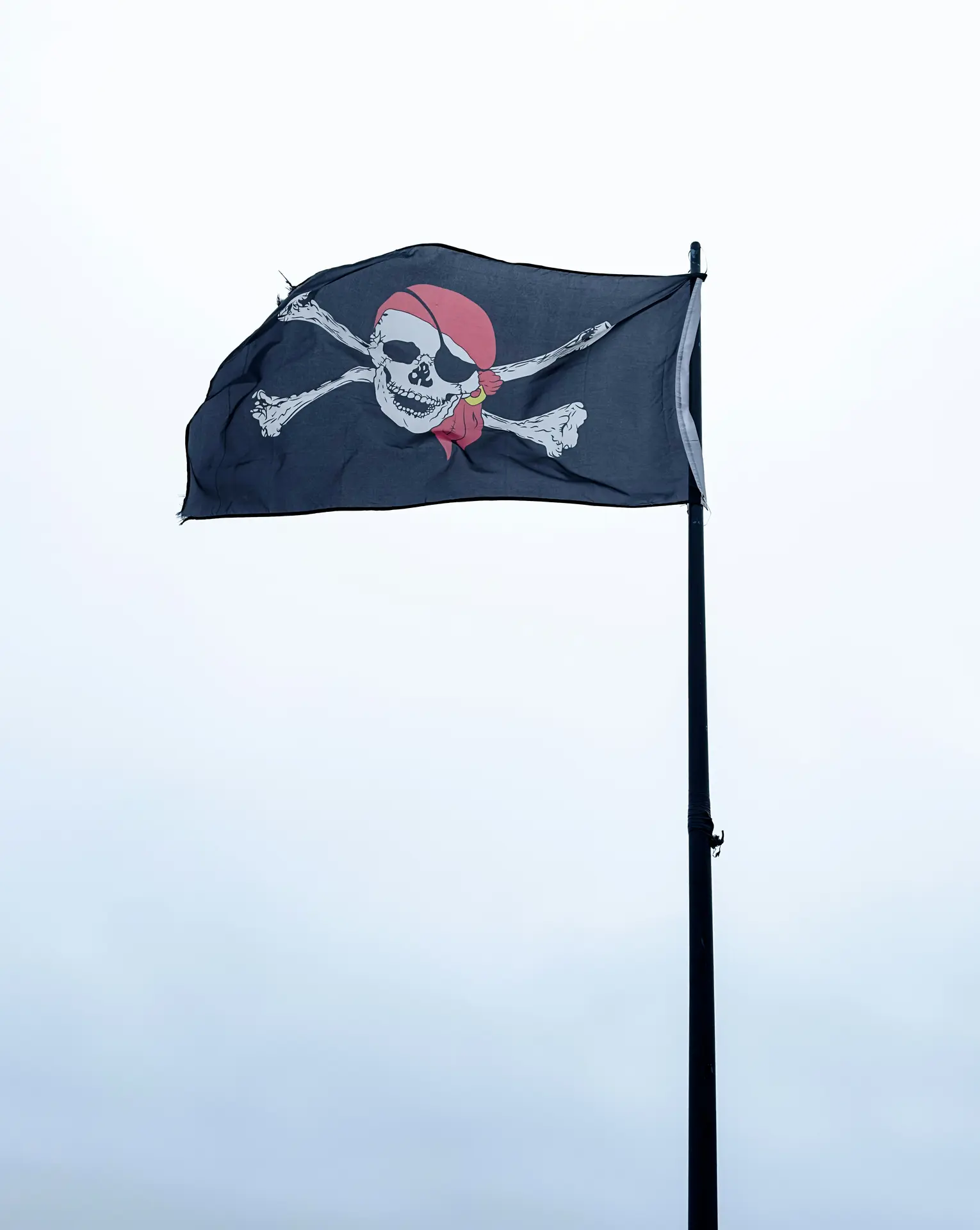 Pirate