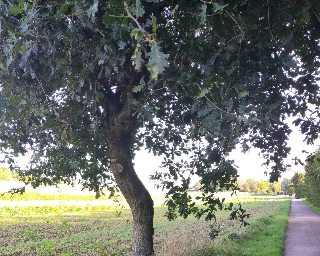 Voie verte vallée de l'Epte Gisors-Gasny