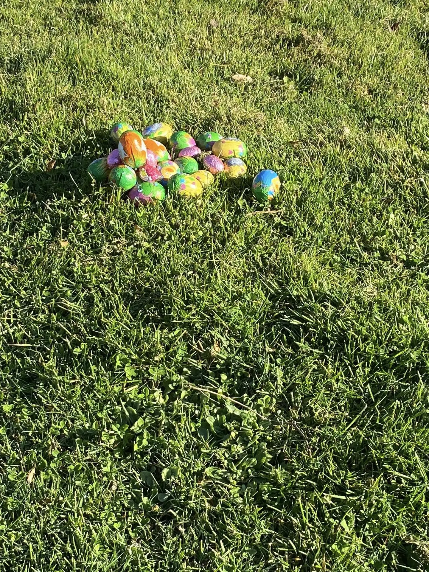 oeufs de paques
