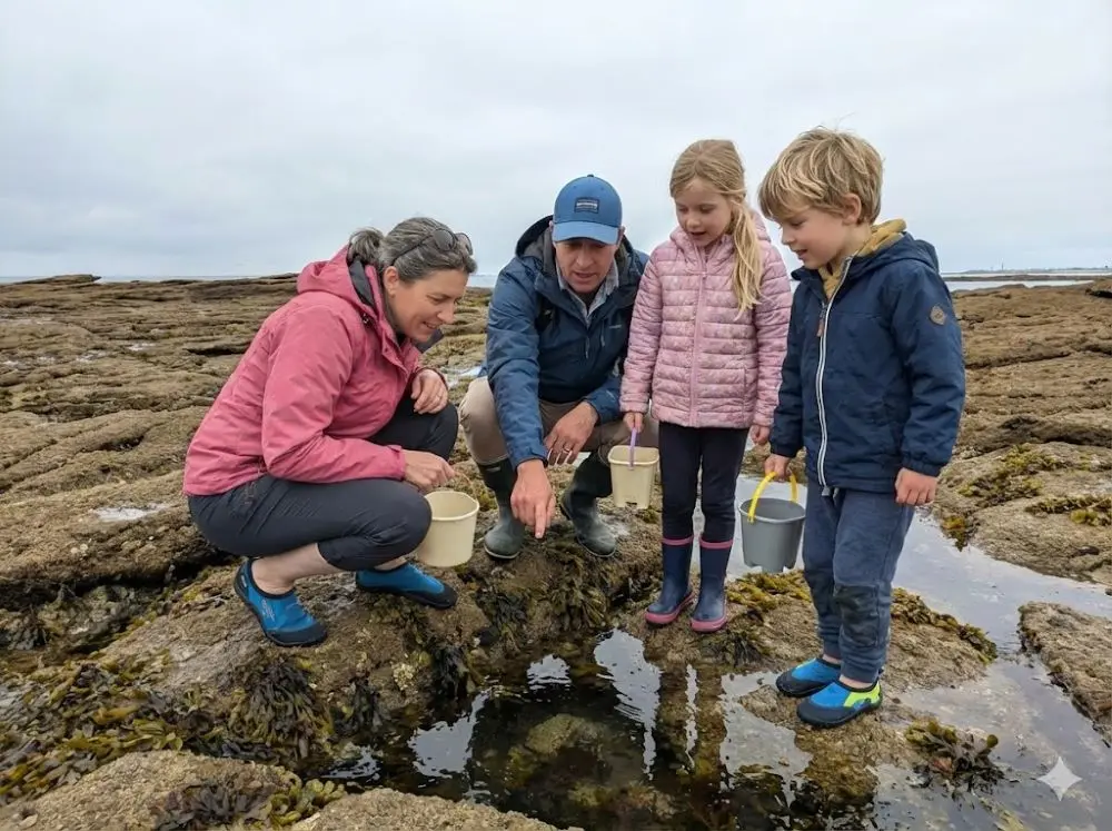 Découverte des algues et cuisine aux algues -Guilvinec - Lesconil -Pays bigouden