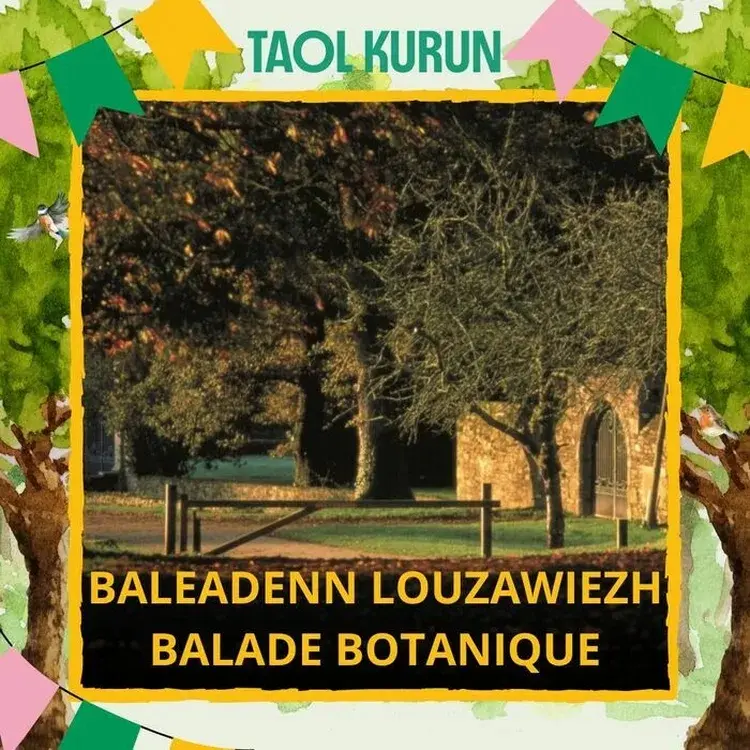 01-21 Balade botanique