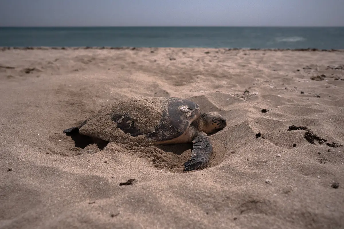 Festival Photo La mer en partage - Guilvinec Léchiagat - Pays bigouden