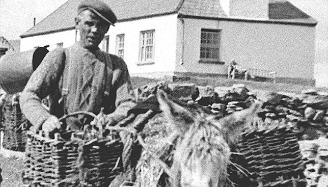 Théâtre Les noces du retameur