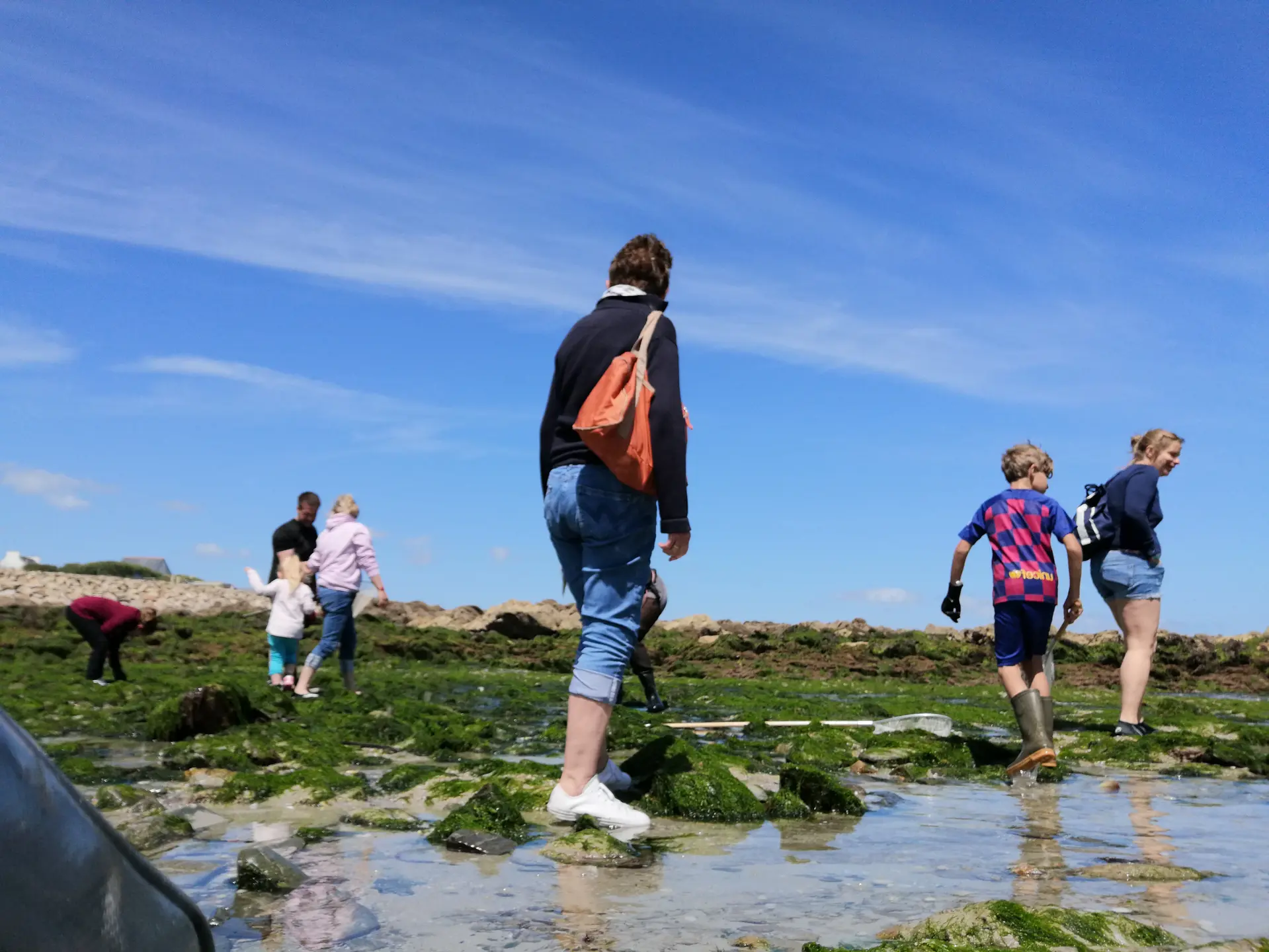 Découverte faune et flore - Poudreuzic- Pays Bigouden