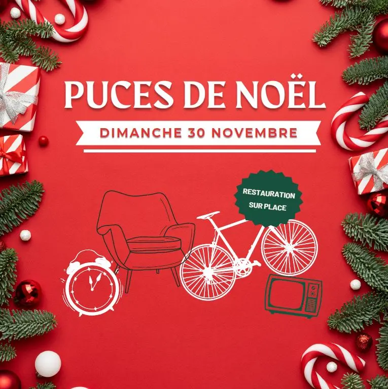 2025_11_30 puces de noel mahalon