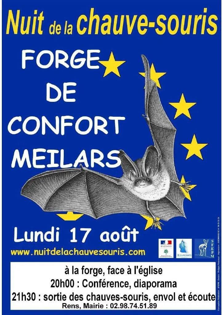 2026_08_17 nuit de la chauve souris Confort
