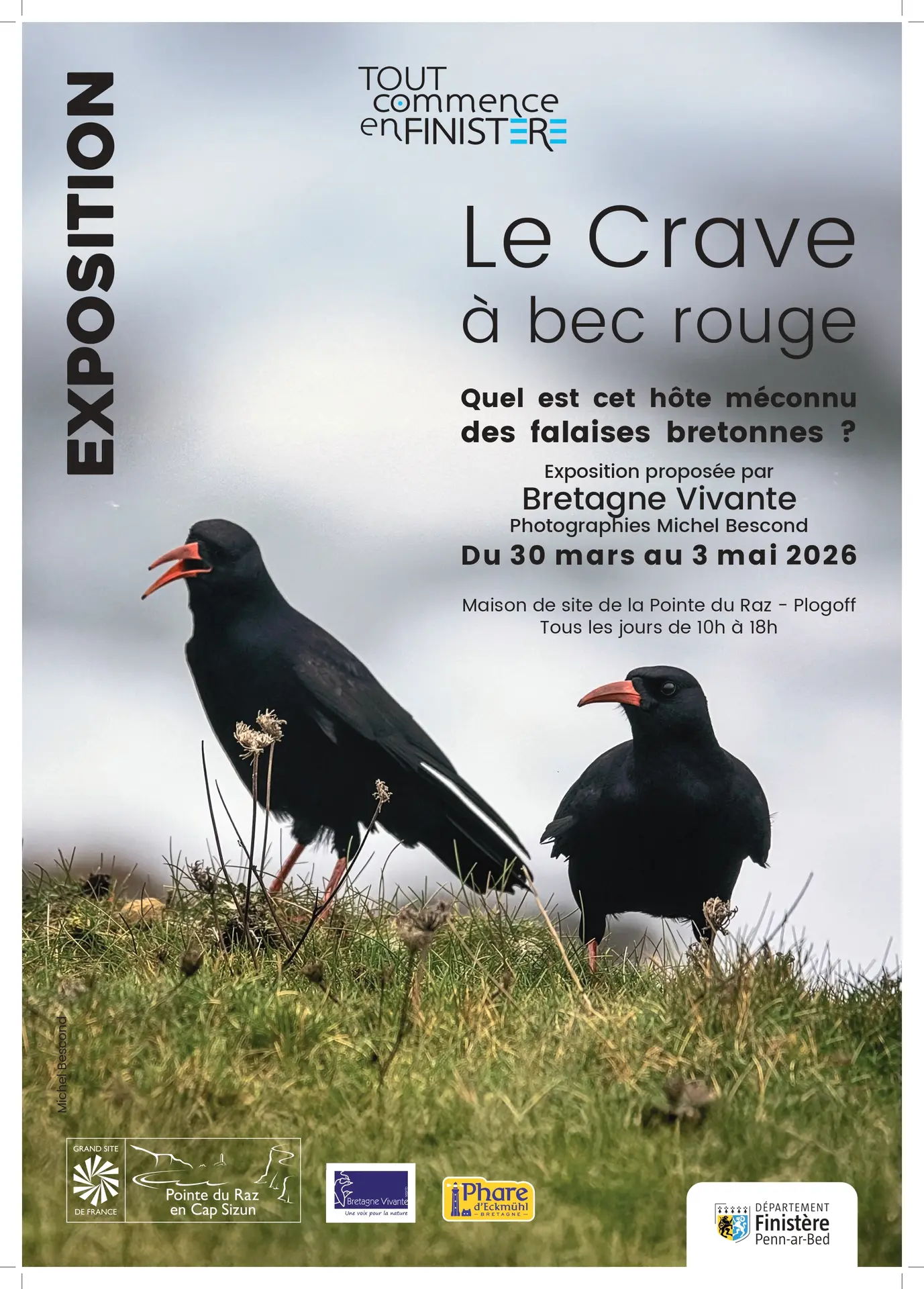 Expo Crave à bec rouge