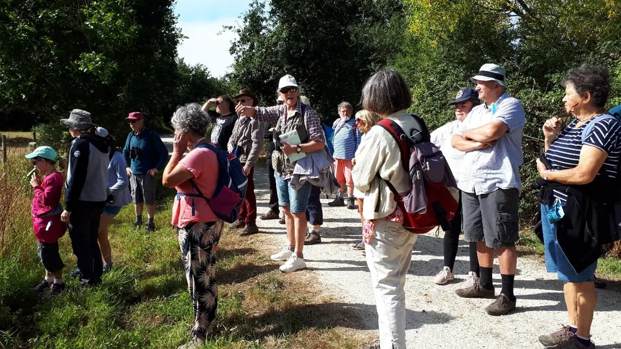 29.03 Balade nature Lulu