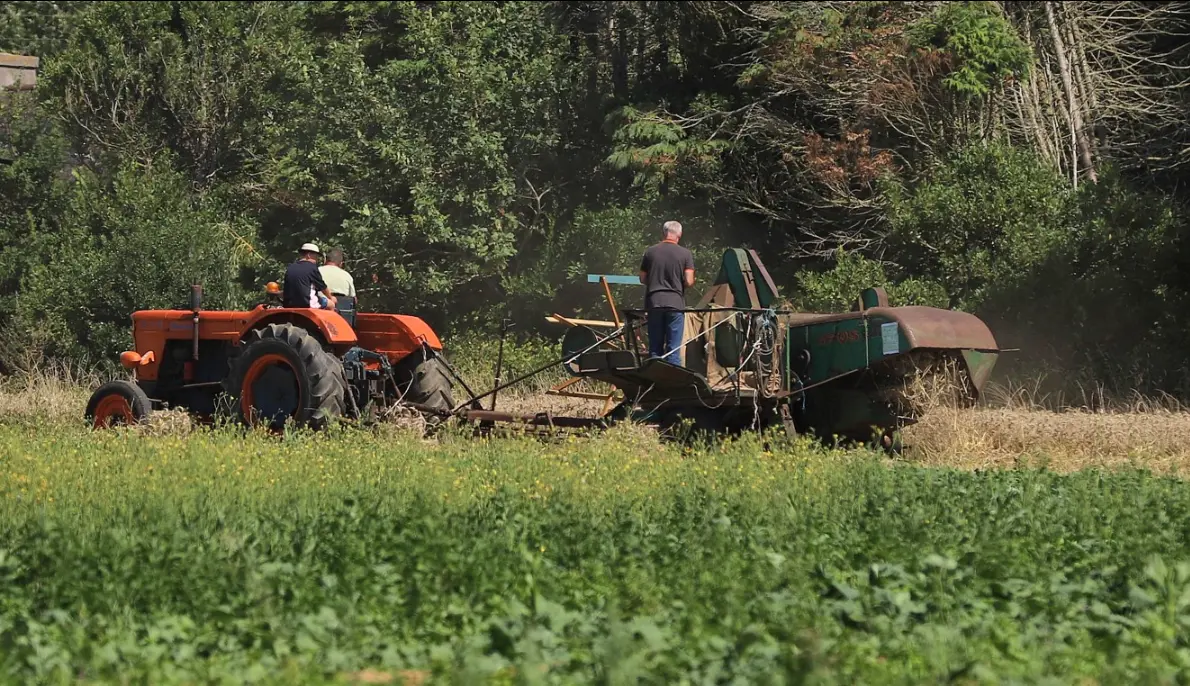 Les jeudis du patrimoine - Pouldreuzic - Pays Bigouden