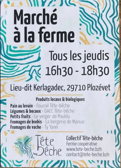 Marché -tête bêche -Plozévet -Pays bigouden