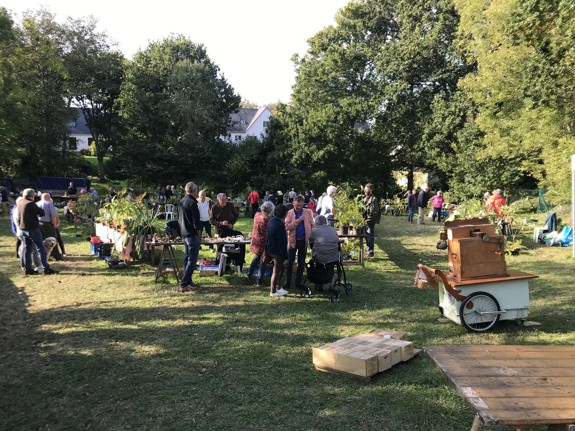 vide jardin automne 2021retaillé
