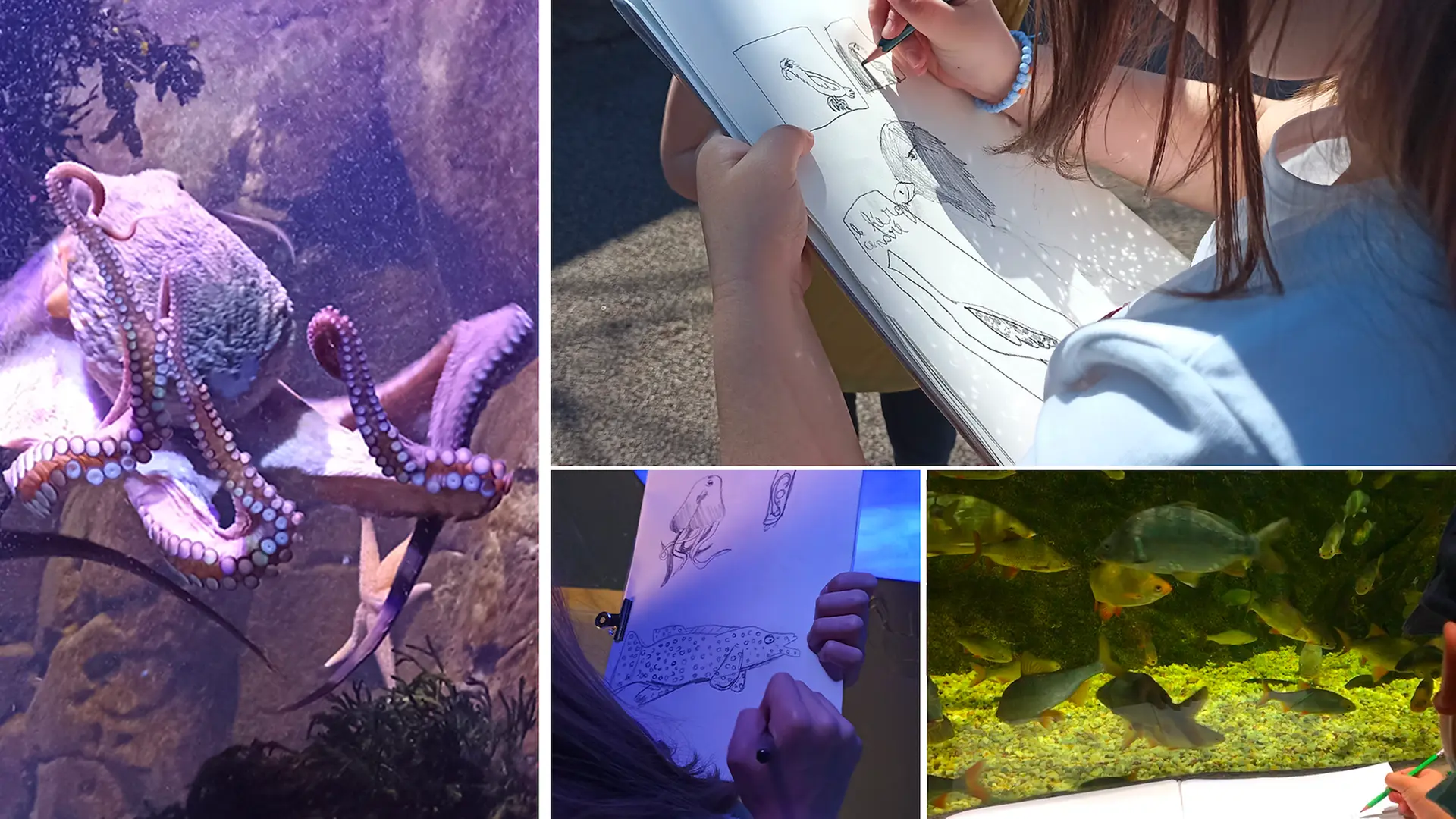 AT AQUASHOW 2026 02 voirvoirdehors.com