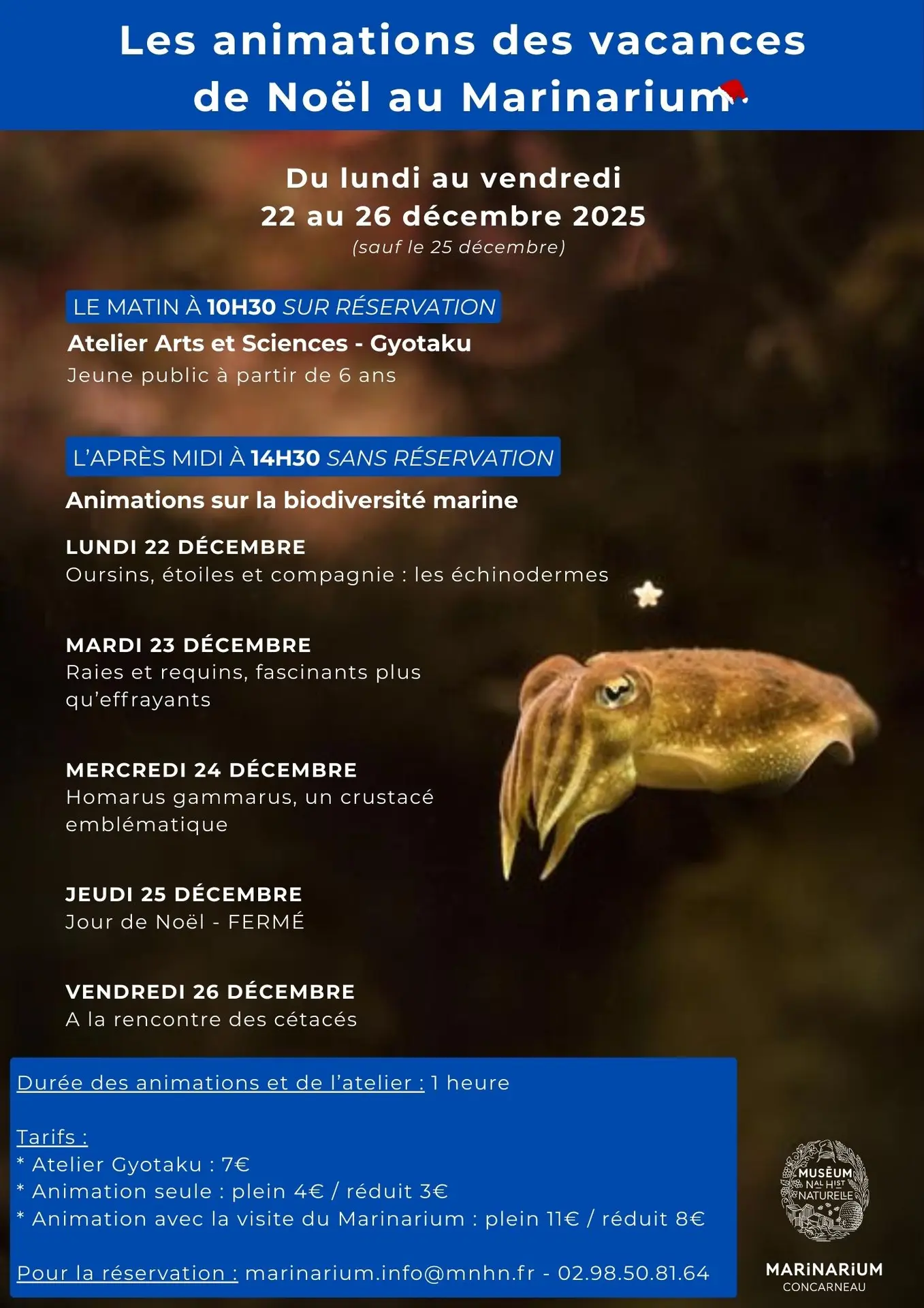 Affiche Programme Évènements Moderne Bleu - 4