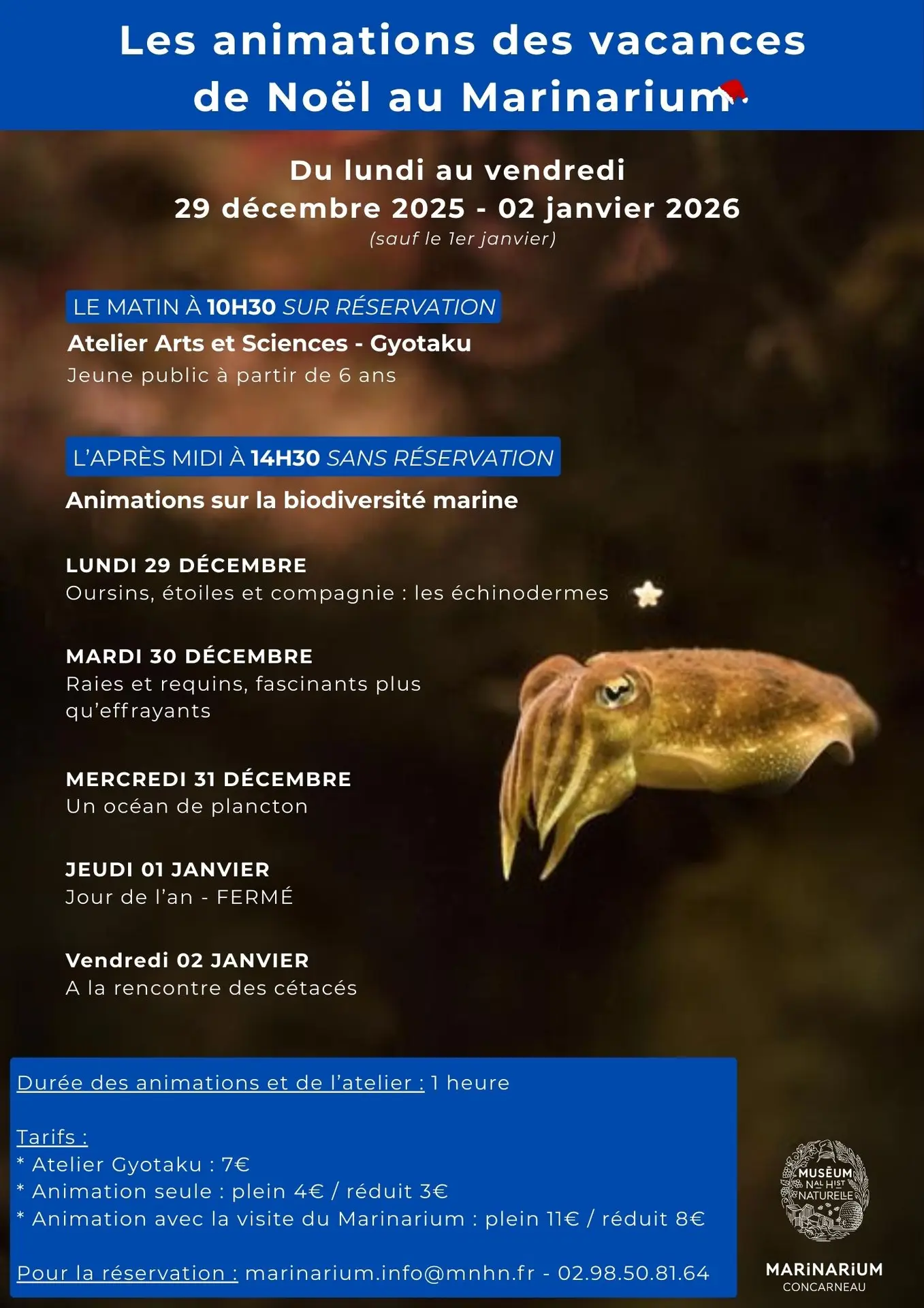 Affiche Programme Évènements Moderne Bleu - 5