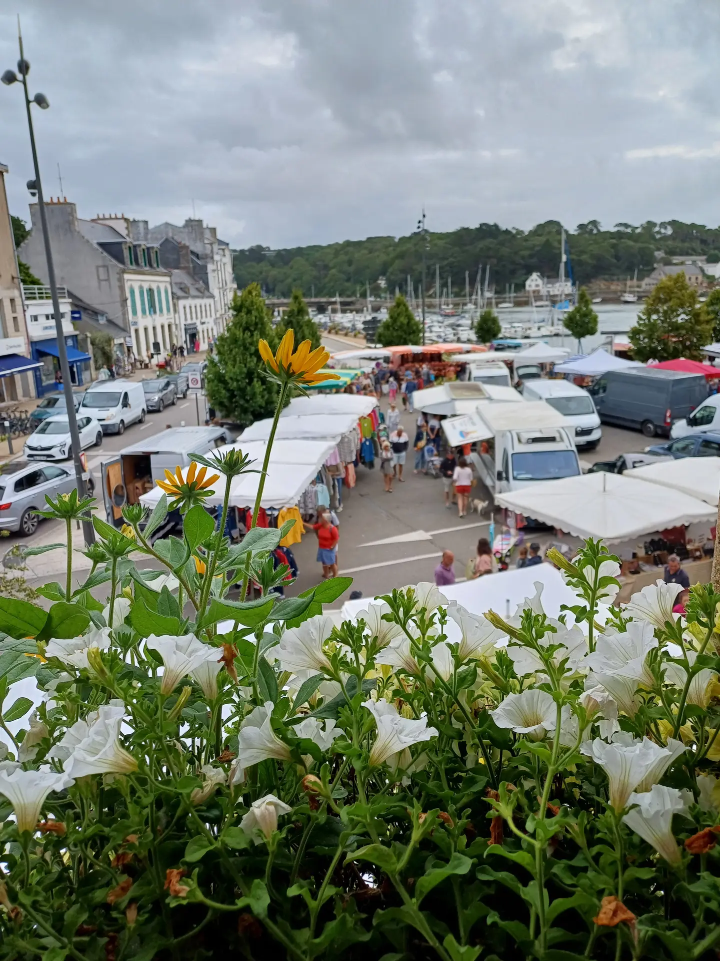 Marché hebdomadaire d'Audierne