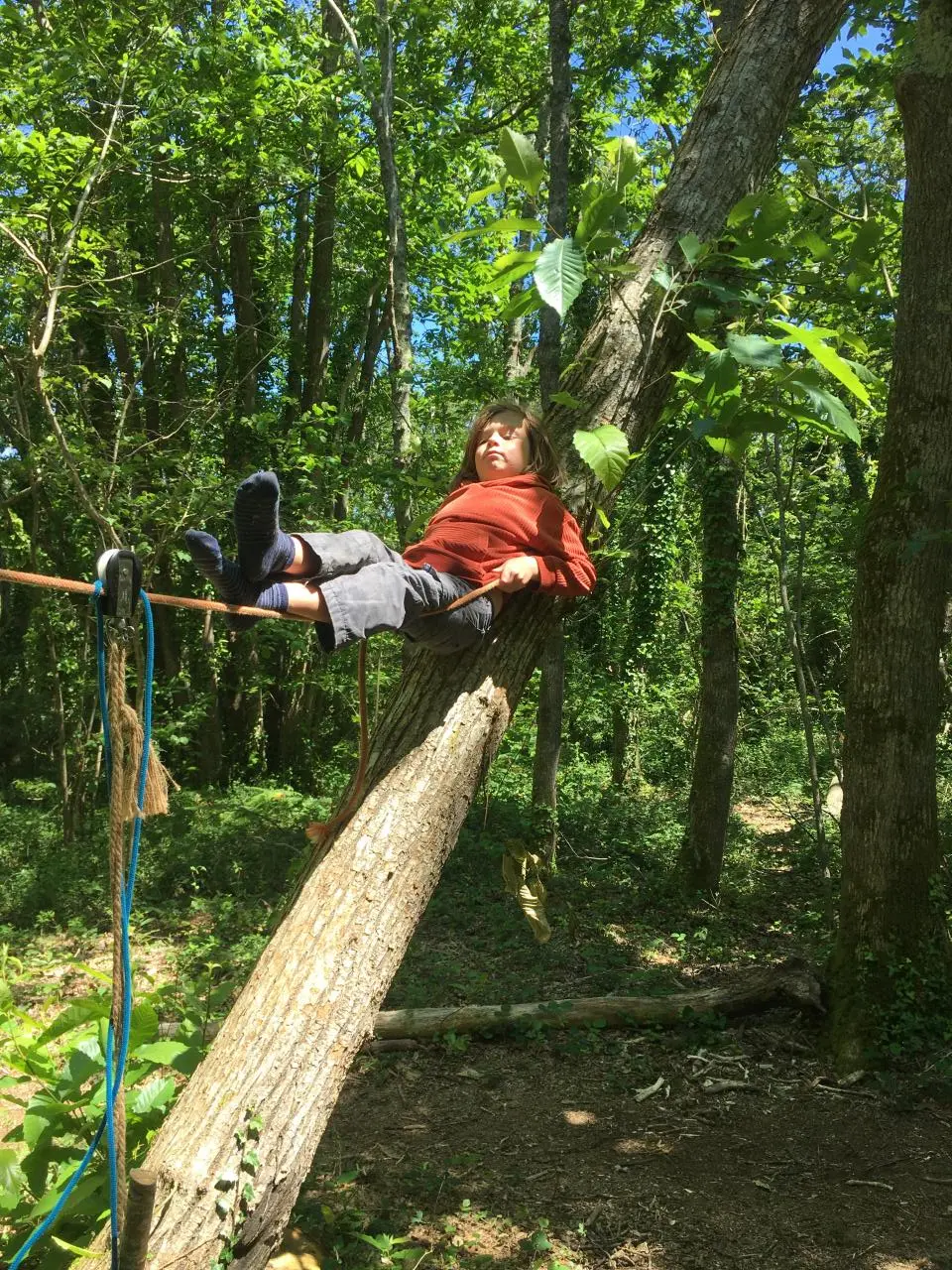 Profiter de se détendre sous les arbres