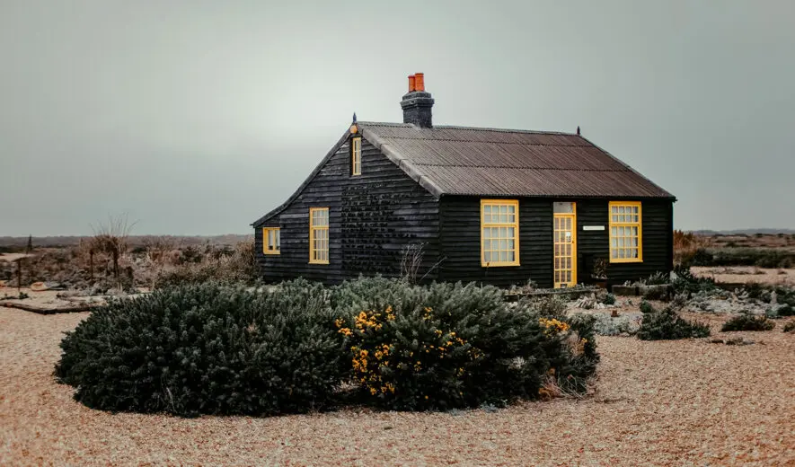 Bois-brule-credit-ZoltanTasi-unsplash-885x520
